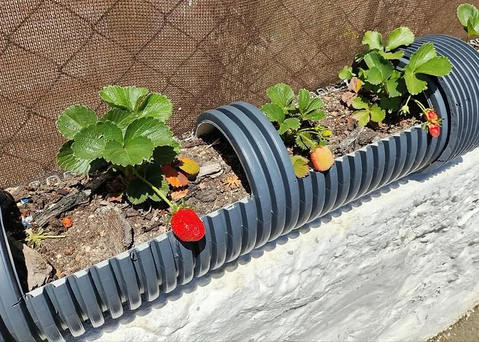 Apartamento Casa Azul Albufeira